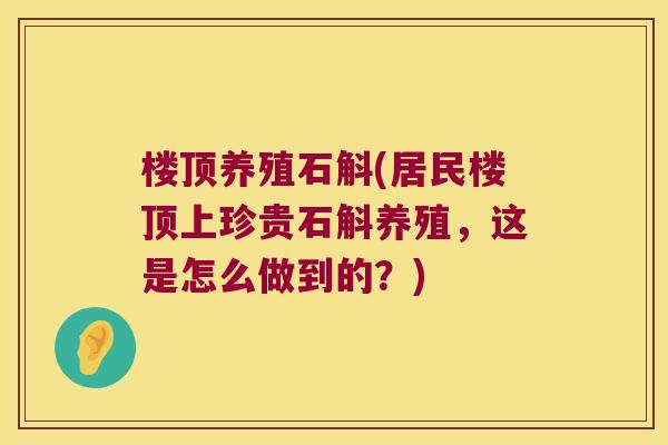 楼顶养殖石斛(居民楼顶上珍贵石斛养殖，这是怎么做到的？)