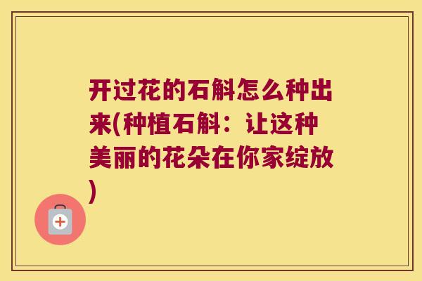 开过花的石斛怎么种出来(种植石斛：让这种美丽的花朵在你家绽放)