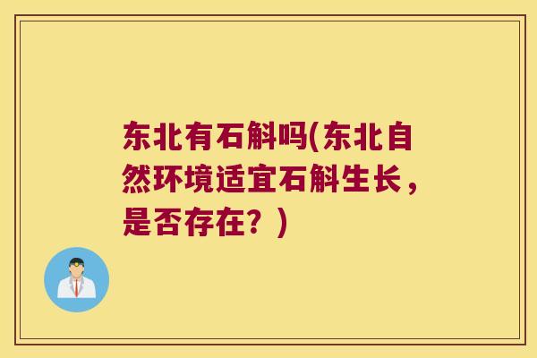 东北有石斛吗(东北自然环境适宜石斛生长，是否存在？)