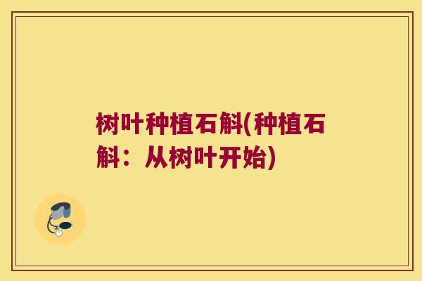 树叶种植石斛(种植石斛：从树叶开始)