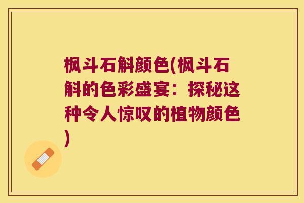 枫斗石斛颜色(枫斗石斛的色彩盛宴：探秘这种令人惊叹的植物颜色)