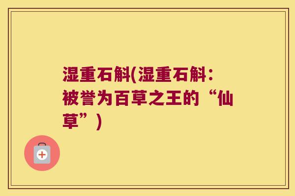 湿重石斛(湿重石斛：被誉为百草之王的“仙草”)