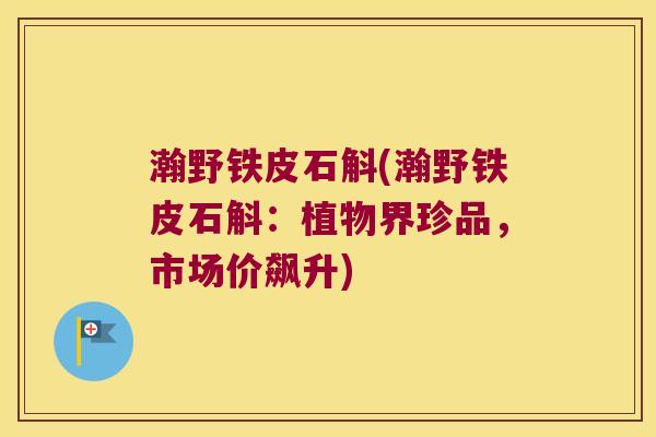 瀚野铁皮石斛(瀚野铁皮石斛：植物界珍品，市场价飙升)