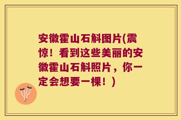 安徽霍山石斛图片(震惊！看到这些美丽的安徽霍山石斛照片，你一定会想要一棵！)