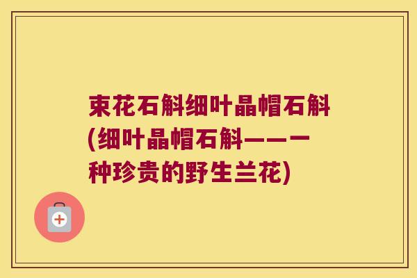 束花石斛细叶晶帽石斛(细叶晶帽石斛——一种珍贵的野生兰花)