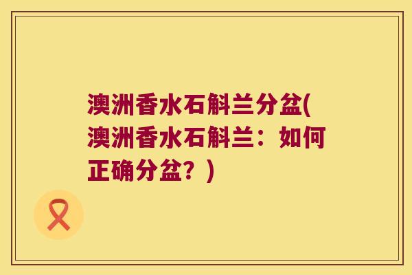 澳洲香水石斛兰分盆(澳洲香水石斛兰：如何正确分盆？)
