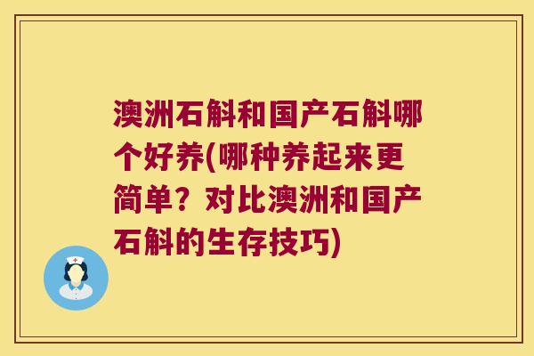 澳洲石斛和国产石斛哪个好养(哪种养起来更简单？对比澳洲和国产石斛的生存技巧)