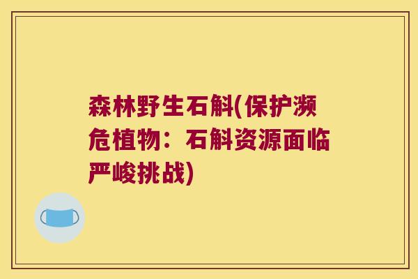 森林野生石斛(保护濒危植物:石斛资源面临严峻挑战) 森林野生石斛(保护濒危植物:石斛资源面临严峻挑战)
