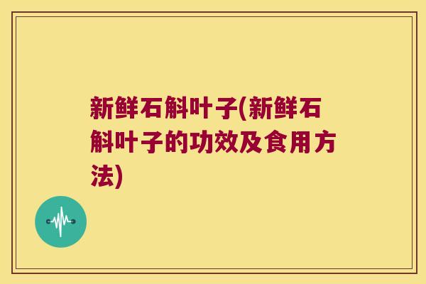 新鲜石斛叶子(新鲜石斛叶子的功效及食用方法)