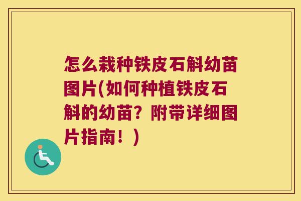 怎么栽种铁皮石斛幼苗图片(如何种植铁皮石斛的幼苗？附带详细图片指南！)