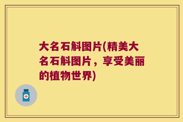 大名石斛图片(精美大名石斛图片,享受美丽的植物世界) 大名石斛图片(精美大名石斛图片,享受美丽的植物世界)
