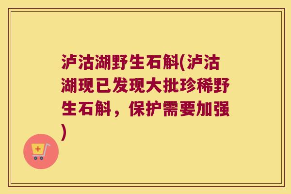 泸沽湖野生石斛(泸沽湖现已发现大批珍稀野生石斛，保护需要加强)