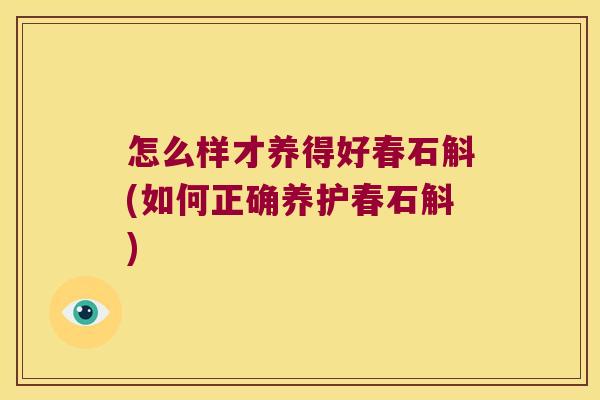 怎么样才养得好春石斛(如何正确养护春石斛)
