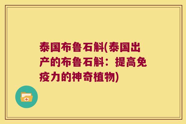 泰国布鲁石斛(泰国出产的布鲁石斛：提高免疫力的神奇植物)