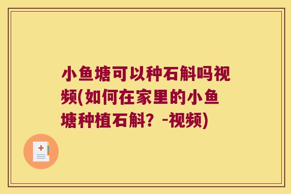 小鱼塘可以种石斛吗视频(如何在家里的小鱼塘种植石斛？-视频)