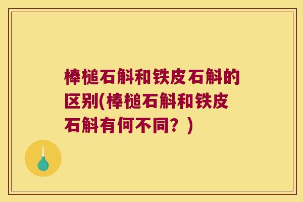 棒槌石斛和铁皮石斛的区别(棒槌石斛和铁皮石斛有何不同？)