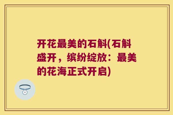 开花最美的石斛(石斛盛开，缤纷绽放：最美的花海正式开启)