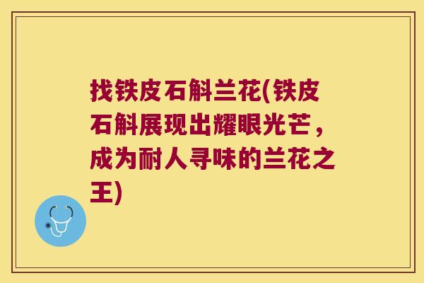 找铁皮石斛兰花(铁皮石斛展现出耀眼光芒，成为耐人寻味的兰花之王)