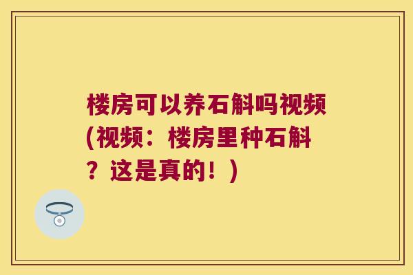 楼房可以养石斛吗视频(视频：楼房里种石斛？这是真的！)