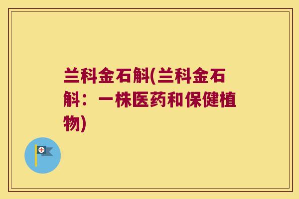 兰科金石斛(兰科金石斛：一株医药和保健植物)