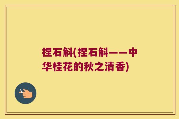 捏石斛(捏石斛——中华桂花的秋之清香)