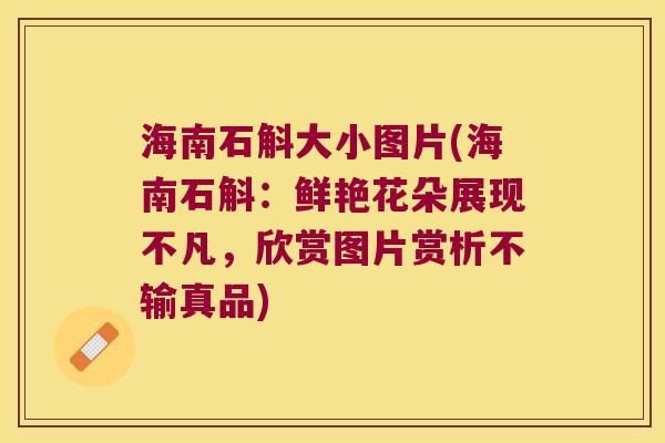 海南石斛大小图片(海南石斛：鲜艳花朵展现不凡，欣赏图片赏析不输真品)