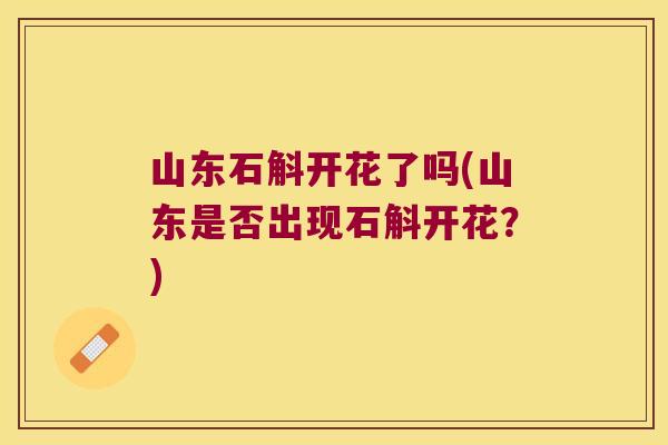 山东石斛开花了吗(山东是否出现石斛开花？)