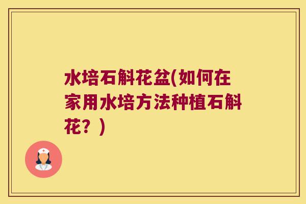 水培石斛花盆(如何在家用水培方法种植石斛花?) 水培石斛花盆(如何在家用水培方法种植石斛花?)