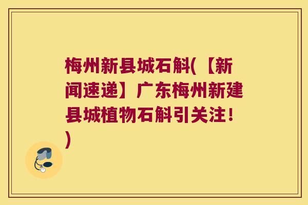 梅州新县城石斛(【新闻速递】广东梅州新建县城植物石斛引关注！)