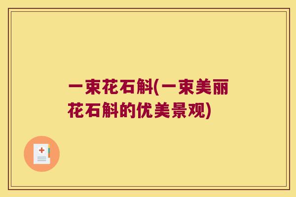 一束花石斛(一束美丽花石斛的优美景观)