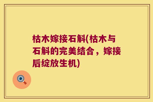 枯木嫁接石斛(枯木与石斛的完美结合,嫁接后绽放生机) 枯木嫁接石斛(枯木与石斛的完美结合,嫁接后绽放生机)