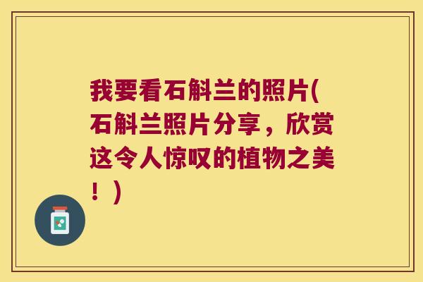 我要看石斛兰的照片(石斛兰照片分享，欣赏这令人惊叹的植物之美！)