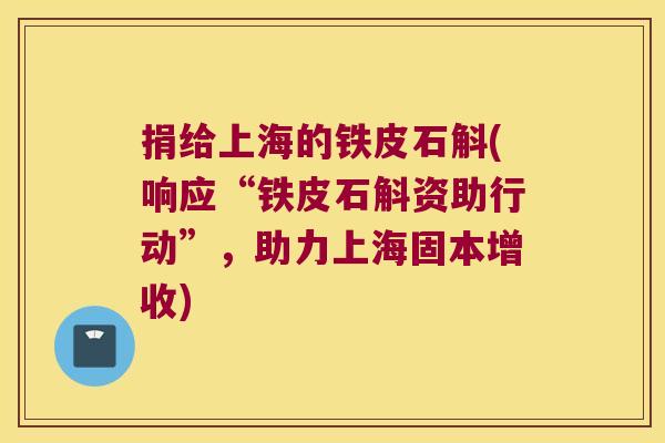 捐给上海的铁皮石斛(响应“铁皮石斛资助行动”，助力上海固本增收)