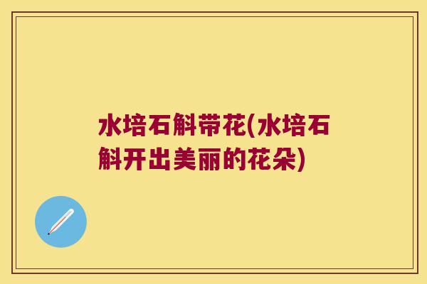 水培石斛带花(水培石斛开出美丽的花朵)