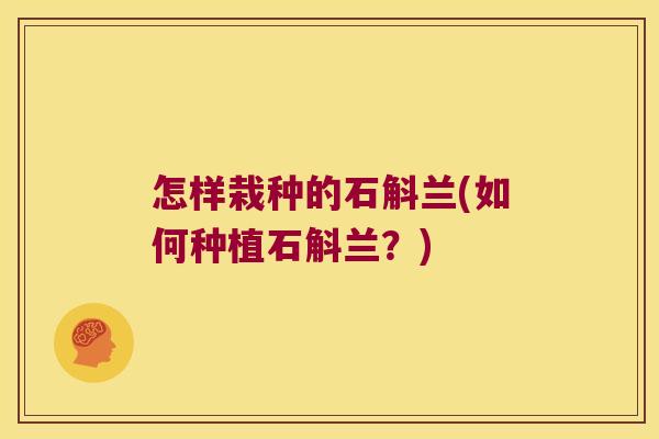 怎样栽种的石斛兰(如何种植石斛兰？)