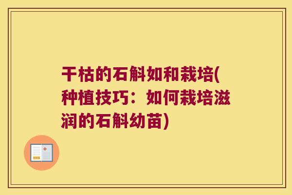 干枯的石斛如和栽培(种植技巧：如何栽培滋润的石斛幼苗)