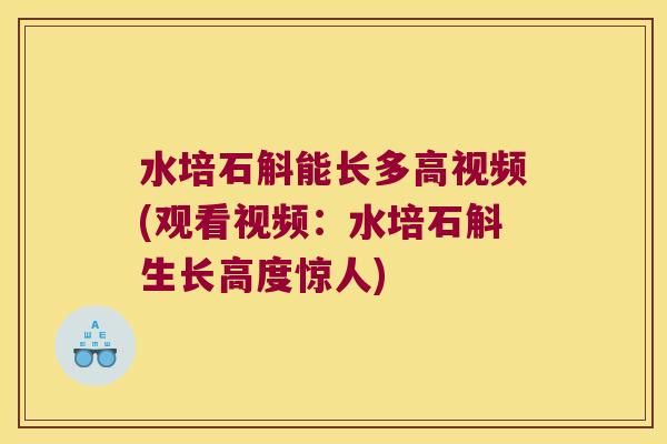 水培石斛能长多高视频(观看视频：水培石斛生长高度惊人)