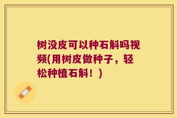 树没皮可以种石斛吗视频(用树皮做种子，轻松种植石斛！)