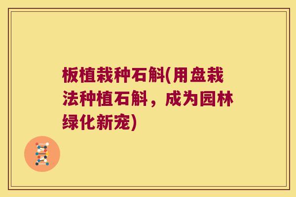 板植栽种石斛(用盘栽法种植石斛，成为园林绿化新宠)