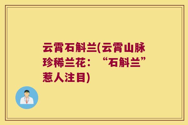 云霄石斛兰(云霄山脉珍稀兰花：“石斛兰”惹人注目)