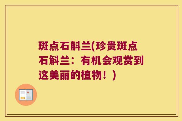 斑点石斛兰(珍贵斑点石斛兰：有机会观赏到这美丽的植物！)