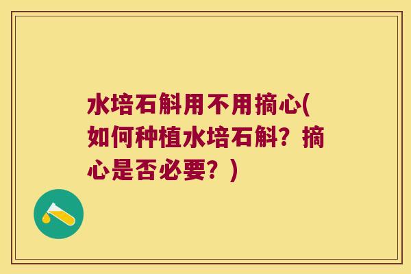水培石斛用不用摘心(如何种植水培石斛？摘心是否必要？)