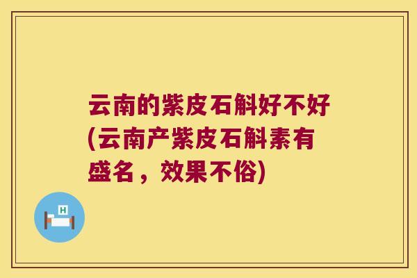 云南的紫皮石斛好不好(云南产紫皮石斛素有盛名，效果不俗)