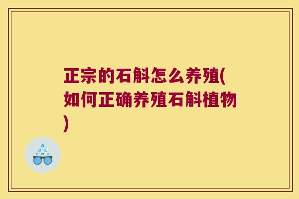 正宗的石斛怎么养殖(如何正确养殖石斛植物)