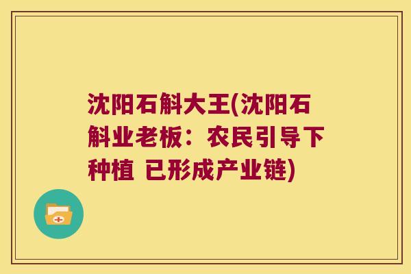 沈阳石斛大王(沈阳石斛业老板：农民引导下种植 已形成产业链)