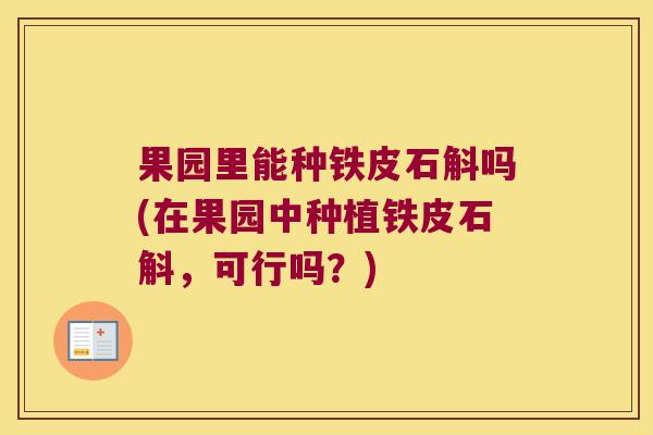 果园里能种铁皮石斛吗(在果园中种植铁皮石斛，可行吗？)