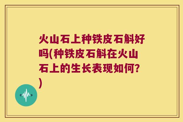 火山石上种铁皮石斛好吗(种铁皮石斛在火山石上的生长表现如何？)