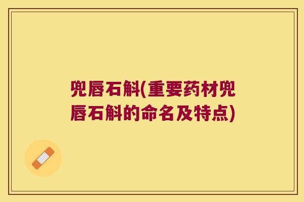 兜唇石斛(重要药材兜唇石斛的命名及特点)