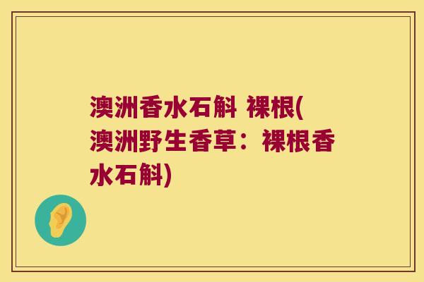 澳洲香水石斛 裸根(澳洲野生香草：裸根香水石斛)