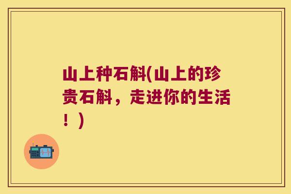 山上种石斛(山上的珍贵石斛，走进你的生活！)
